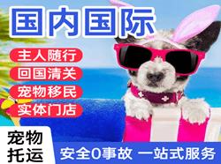 大理凤仪航空运输国际宠物托运 【国